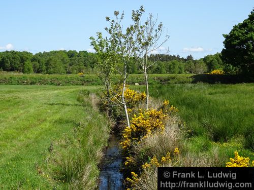 Spring in Glenfarne